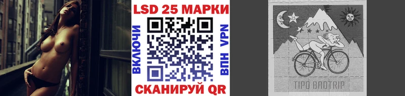 купить наркоту  Богородицк  Марки 25I-NBOMe 1500мкг 