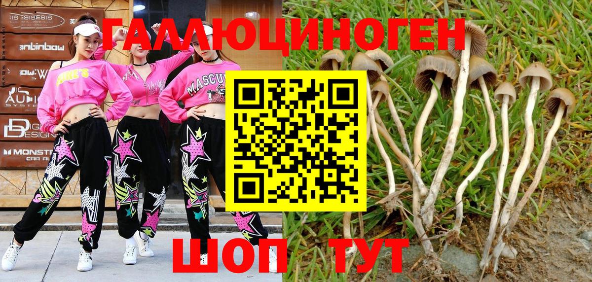 Псилоцибиновые грибы Magic Shrooms Богородицк