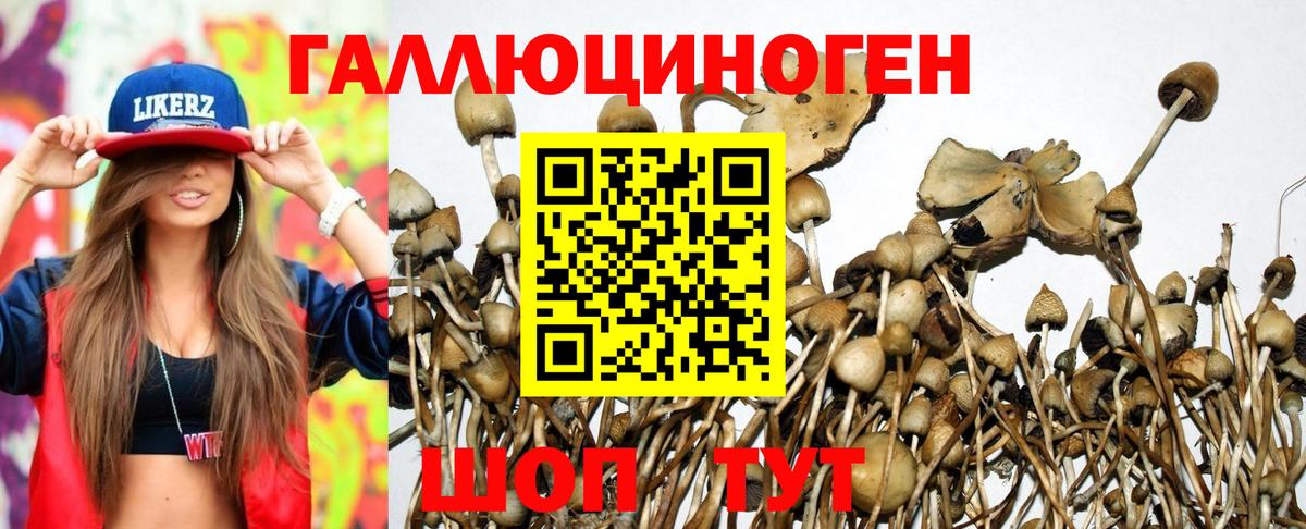 Галлюциногенные грибы Cubensis  Вход с VPN  Богородицк 